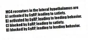 MC4 receptors in the lateral hypothalamus are
A) activated by AgRP, leading to satiety.
B) activated by AgRP, leading to feeding behavior.
C) blocked by AgRP, leading to satiety.
D) blocked by AgRP, leading to feeding behavior.