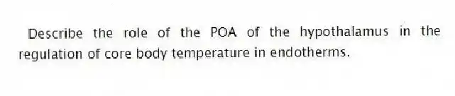 Describe the role of the POA of the hypothalamus in the regulation of core body temperature in endotherms.