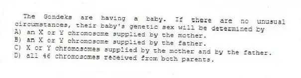  The Gondeks are having a baby. If there are no unusual circumstances, their baby's genetic sex will be determined by
A) an X or Y chromosome supplied by the mother.
B) an X or Y chromosome supplied by the father.
C) X or Y chromosomes supplied by the mother and by the father.
D) all 46 chromosomes received from both parents.