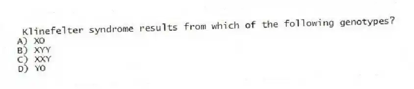 Klinefelter syndrome results from which of the following genotypes?
A) XO
B) XYY
C) XXY
D) YO