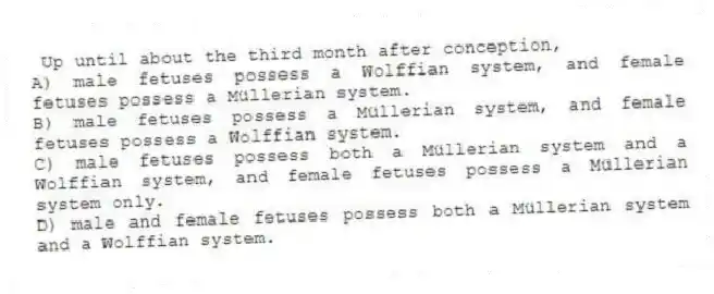 Up until about the third month after conception,
A) male fetuses possess a Wolffian system, and female fetuses possess a Müllerian system.
B) male fetuses possess a Müllerian system, and female fetuses possess a Wolffian system.
C) male fetuses possess both a Müllerian system and a Wolffian system, and female fetuses possess a Müllerian system only.
D) male and female fetuses possess both a Müllerian system and a Wolffian system.