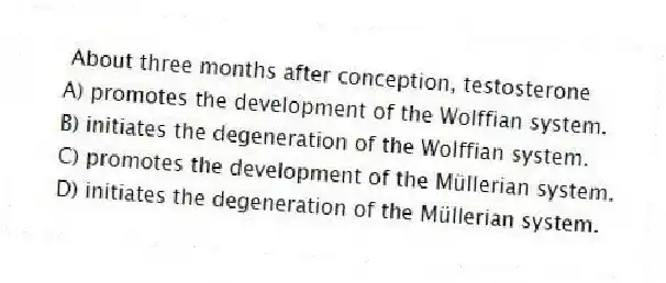 About three months after conception, testosterone
A) promotes the development of the Wolffian system.
B) initiates the degeneration of the Wolffian system.
C) promotes the development of the Müllerian system.
D) initiates the degeneration of the Müllerian system.
