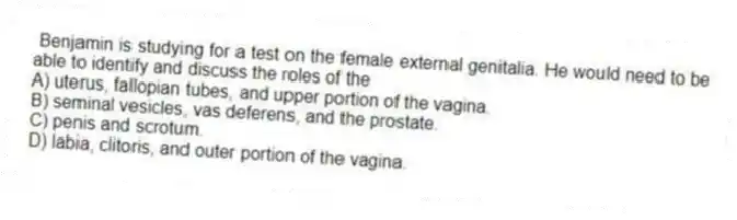 Benjamin is studying for a test on the female external genitalia. He would need to be able to identify and discuss the roles of the
A) uterus, fallopian tubes, and upper portion of the vagina.
B) seminal vesicles, vas deferens, and the prostate.
C) penis and scrotum.
D) labia, clitoris, and outer portion of the vagina.