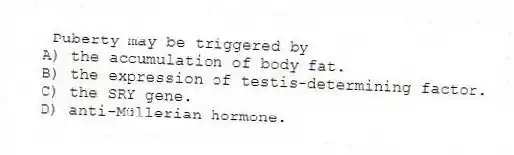 Puberty may be triggered by
A) the accumulation of body fat.
B) the expression of testis-determining factor.
C) the SRY gene.
D) anti-Müllerian hormone.