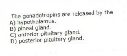 The gonadotropins are released by the
A) hypothalamus.
B) pineal gland.
C) anterior pituitary gland.
D) posterior pituitary gland.