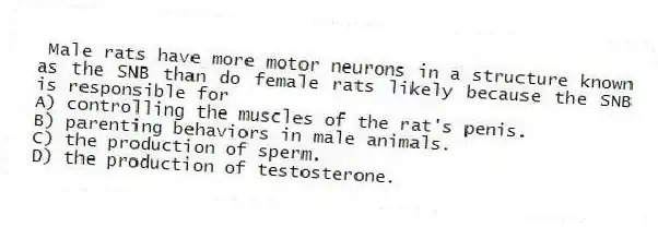 Male rats have more motor neurons in a structure known as the SNB than do female rats likely because the SNB is responsible for
A) controlling the muscles of the rat's penis.
B) parenting behaviors in male animals.
C) the production of sperm.
D) the production of testosterone.