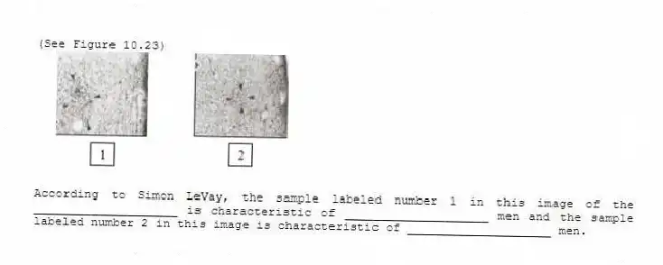 (See Figure 10.23)
-According to Simon LeVay, the sample labeled number 1 in this image of the ____________________ is characteristic of ____________________ men and the sample labeled number 2 in this image is characteristic of ____________________ men.