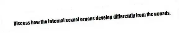Discuss how the internal sexual organs develop differently from the gonads.
