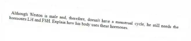 Although Weston is male and, therefore, doesn't have a menstrual cycle, he still needs the hormones LH and FSH. Explain how his body uses these hormones.