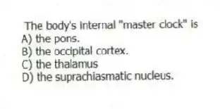 The body's internal "master clock" is
A) the pons.
B) the occipital cortex.
C) the thalamus
D) the suprachiasmatic nucleus.