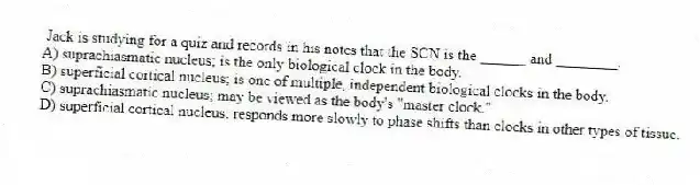 Jack is studying for a quiz and records in his notes that the SCN is the ______ and ________.
A) suprachiasmatic nucleus; is the only biological clock in the body.
B) superficial cortical nucleus; is one of multiple, independent biological clocks in the body.
C) suprachiasmatic nucleus; may be viewed as the body's "master clock."
D) superficial cortical nucleus; responds more slowly to phase shifts than clocks in other types of tissue.
