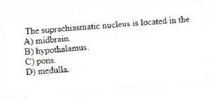 The suprachiasmatic nucleus is located in the
A) midbrain.
B) hypothalamus.
C) pons.
D) medulla.