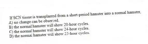 If SCN tissue is transplanted from a short-period hamster into a normal hamster,
A) no change can be observed.
B) the normal hamster will show 20-hour cycles.
C) the normal hamster will show 24-hour cycles.
D) the normal hamster will show 25-hour cycles.