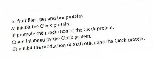 In fruit flies, per and tim proteins
A) inhibit the Clock protein.
B) promote the production of the Clock protein.
C) are inhibited by the Clock protein.
D) inhibit the production of each other and the Clock protein.