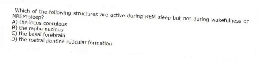  Which of the following structures are active during REM sleep but not during wakefulness or NREM sleep?
A) the locus coeruleus
B) the raphe nucleus
C) the basal forebrain
D) the rostral pontine reticular formation
