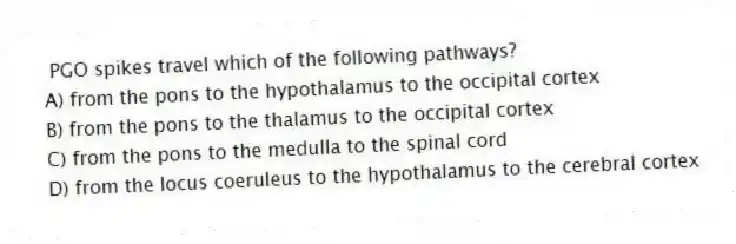 PGO spikes travel which of the following pathways?
A) from the pons to the hypothalamus to the occipital cortex
B) from the pons to the thalamus to the occipital cortex
C) from the pons to the medulla to the spinal cord
D) from the locus coeruleus to the hypothalamus to the cerebral cortex