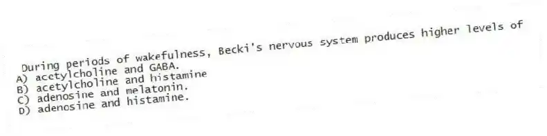 During periods of wakefulness, Becki's nervous system produces higher levels of
A) acetylcholine and GABA.
B) acetylcholine and histamine
C) adenosine and melatonin.
D) adenosine and histamine.