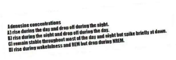  Adenosine concentrations
A) rise during the day and drop off during the night.
B) rise during the night and drop off during the day.
C) remain stable throughout most of the day and night but spike briefly at dawn.
D) rise during wakefulness and REM but drop during NREM.