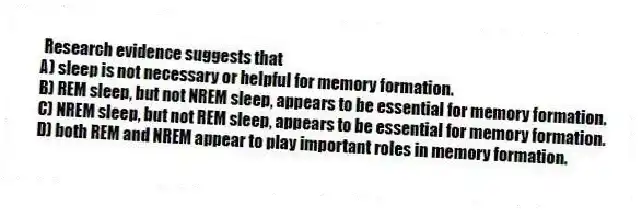 Research evidence suggests that
A) sleep is not necessary or helpful for memory formation.
B) REM sleep, but not NREM sleep, appears to be essential for memory formation.
C) NREM sleep, but not REM sleep, appears to be essential for memory formation.
D) both REM and NREM appear to play important roles in memory formation.