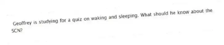 Geoffrey is studying for a quiz on waking and sleeping. What should he know about the SCN?