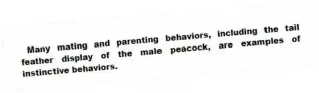 Many mating and parenting behaviors, including the tail feather display of the male peacock, are examples of instinctive behaviors.