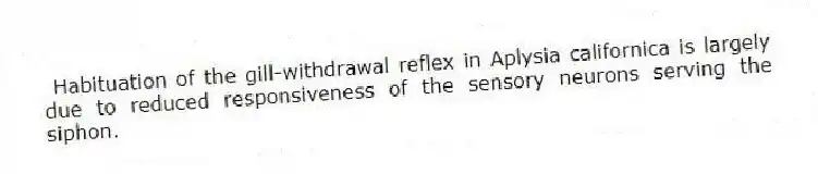  Habituation of the gill-withdrawal reflex in Aplysia californica is largely due to reduced responsiveness of the sensory neurons serving the siphon.