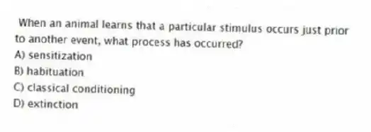 When an animal learns that a particular stimulus occurs just prior to another event, what process has occurred?
A) sensitization
B) habituation
C) classical conditioning
D) extinction