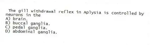  The gill withdrawal reflex in Aplysia is controlled by neurons in the
A) brain.
B) buccal ganglia.
C) pedal ganglia.
D) abdominal ganglia.