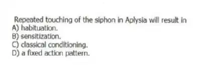 Repeated touching of the siphon in Aplysia will result in
A) habituation.
B) sensitization.
C) classical conditioning.
D) a fixed action pattern.