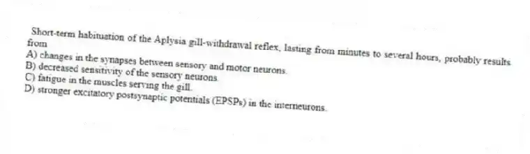  Short-term habituation of the Aplysia gill-withdrawal reflex, lasting from minutes to several hours, probably results from
A) changes in the synapses between sensory and motor neurons.
B) decreased sensitivity of the sensory neurons.
C) fatigue in the muscles serving the gill.
D) stronger excitatory postsynaptic potentials (EPSPs) in the interneurons.
