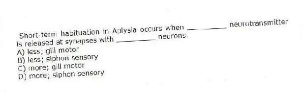 Short-term habituation in Aplysia occurs when _________ neurotransmitter is released at synapses with _________ neurons.
A) less; gill motor
B) less; siphon sensory
C) more; gill motor
D) more; siphon sensory