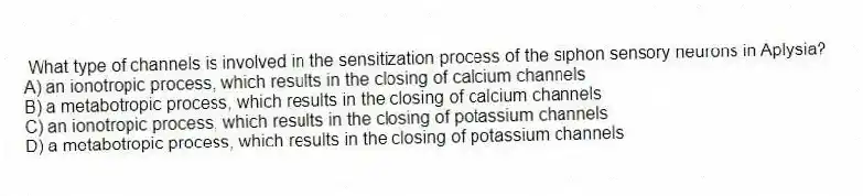What type of channels is involved in the sensitization process of the siphon sensory neurons in Aplysia?
A) an ionotropic process, which results in the closing of calcium channels
B) a metabotropic process, which results in the closing of calcium channels
C) an ionotropic process, which results in the closing of potassium channels
D) a metabotropic process, which results in the closing of potassium channels