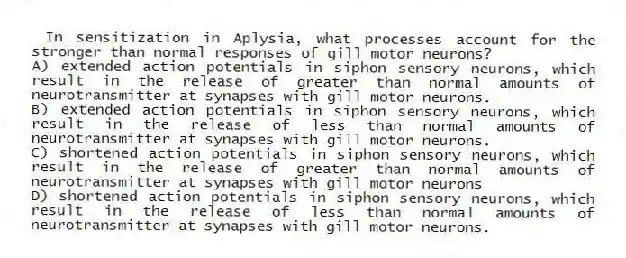 In sensitization in Aplysia, what processes account for the stronger than normal responses of gill motor neurons?
A) extended action potentials in siphon sensory neurons, which result in the release of greater than normal amounts of neurotransmitter at synapses with gill motor neurons.
B) extended action potentials in siphon sensory neurons, which result in the release of less than normal amounts of neurotransmitter at synapses with gill motor neurons.
C) shortened action potentials in siphon sensory neurons, which result in the release of greater than normal amounts of neurotransmitter at synapses with gill motor neurons
D) shortened action potentials in siphon sensory neurons, which result in the release of less than normal amounts of neurotransmitter at synapses with gill motor neurons.