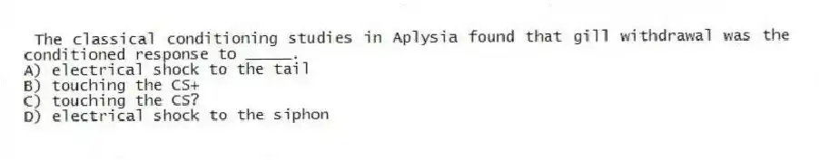 The classical conditioning studies in Aplysia found that gill withdrawal was the conditioned response to _____.
A) electrical shock to the tail
B) touching the CS+
C) touching the CS?
D) electrical shock to the siphon