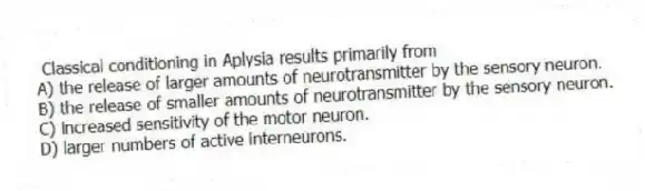 Classical conditioning in Aplysia results primarily from
A) the release of larger amounts of neurotransmitter by the sensory neuron.
B) the release of smaller amounts of neurotransmitter by the sensory neuron.
C) increased sensitivity of the motor neuron.
D) larger numbers of active interneurons.