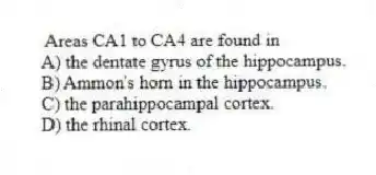 Areas CA1 to CA4 are found in
A) the dentate gyrus of the hippocampus.
B) Ammon's horn in the hippocampus.
C) the parahippocampal cortex.
D) the rhinal cortex.