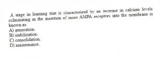 A stage in learning that is characterized by an increase in calcium levels culminating in the insertion of more AMPA receptors into the membrane is known as
A) generation.
B) stabilization.
C) consolidation.
D) maintenance.