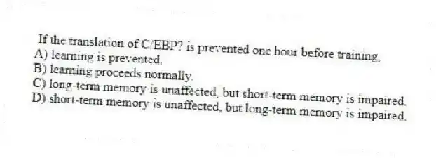 If the translation of C/EBP? is prevented one hour before training,
A) learning is prevented.
B) learning proceeds normally.
C) long-term memory is unaffected, but short-term memory is impaired.
D) short-term memory is unaffected, but long-term memory is impaired.