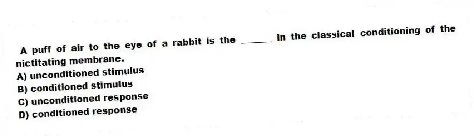 A puff of air to the eye of a rabbit is the _______ in the classical conditioning of the nictitating membrane.
A) unconditioned stimulus
B) conditioned stimulus
C) unconditioned response
D) conditioned response