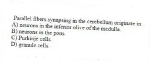  Parallel fibers synapsing in the cerebellum originate in
A) neurons in the inferior olive of the medulla.
B) neurons in the pons.
C) Purkinje cells.
D) granule cells.