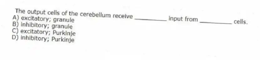  The output cells of the cerebellum receive _________ input from _________ cells.
A) excitatory; granule
B) inhibitory; granule
C) excitatory; Purkinje
D) inhibitory; Purkinje