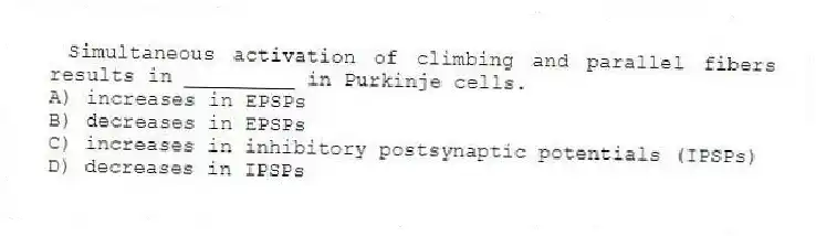 Simultaneous activation of climbing and parallel fibers results in _________ in Purkinje cells.
A) increases in EPSPs
B) decreases in EPSPs
C) increases in inhibitory postsynaptic potentials (IPSPs)
D) decreases in IPSPs
