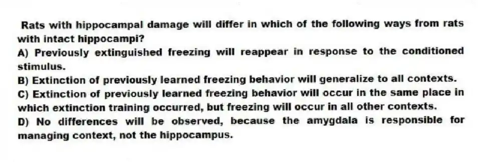 Rats with hippocampal damage will differ in which of the following ways from rats with intact hippocampi?
A) Previously extinguished freezing will reappear in response to the conditioned stimulus.
B) Extinction of previously learned freezing behavior will generalize to all contexts.
C) Extinction of previously learned freezing behavior will occur in the same place in which extinction training occurred, but freezing will occur in all other contexts.
D) No differences will be observed, because the amygdala is responsible for managing context, not the hippocampus.
