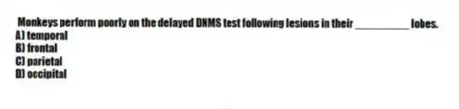 Monkeys perform poorly on the delayed DNMS test following lesions in their _________ lobes.
A) temporal
B) frontal
C) parietal
D) occipital
