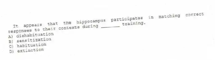 It appears that the hippocampus participates in matching correct responses to their contexts during _______ training.
A) dishabituation
B) sensitization
C) habituation
D) extinction