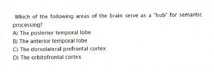 Which of the following areas of the brain serve as a "hub" for semantic processing?
A) The posterior temporal lobe
B) The anterior temporal lobe
C) The dorsolateral prefrontal cortex
D) The orbitofrontal cortex