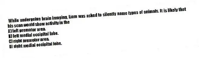 While undergoing brain imaging, Liam was asked to silently name types of animals. It is likely that his scan would show activity in the
A) left premotor area.
B) left medial occipital lobe.
C) right premotor area.
D) right medial occipital lobe.