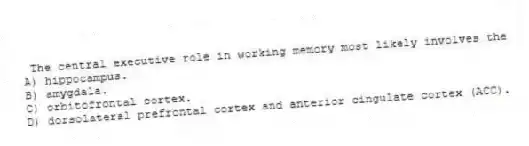 The central executive role in working memory most likely involves the
A) hippocampus.
B) amygdala.
C) orbitofrontal cortex.
D) dorsolateral prefrontal cortex and anterior cingulate cortex (ACC).