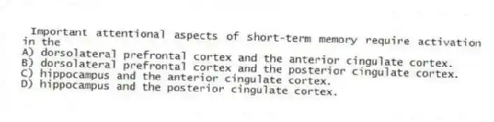 Important attentional aspects of short-term memory require activation in the
A) dorsolateral prefrontal cortex and the anterior cingulate cortex.
B) dorsolateral prefrontal cortex and the posterior cingulate cortex.
C) hippocampus and the anterior cingulate cortex.
D) hippocampus and the posterior cingulate cortex.