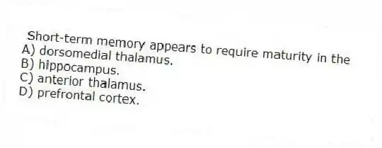 Short-term memory appears to require maturity in the
A) dorsomedial thalamus.
B) hippocampus.
C) anterior thalamus.
D) prefrontal cortex.